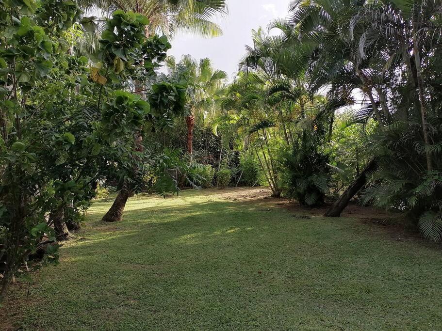 نادي Private Nasoso 4 Bedroom House المظهر الخارجي الصورة